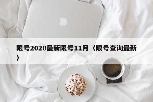 限号2020最新限号11月(限号查询最新)