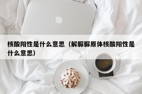 核酸阳性是什么意思(解脲脲原体核酸阳性是什么意思)