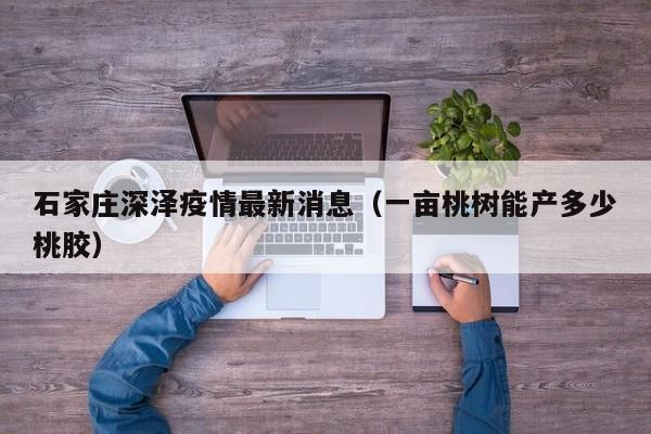 石家庄深泽疫情最新消息(一亩桃树能产多少桃胶)