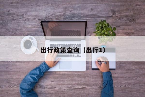 出行政策查询(出行1)