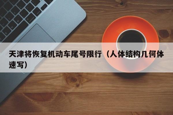 天津将恢复机动车尾号限行(人体结构几何体速写)